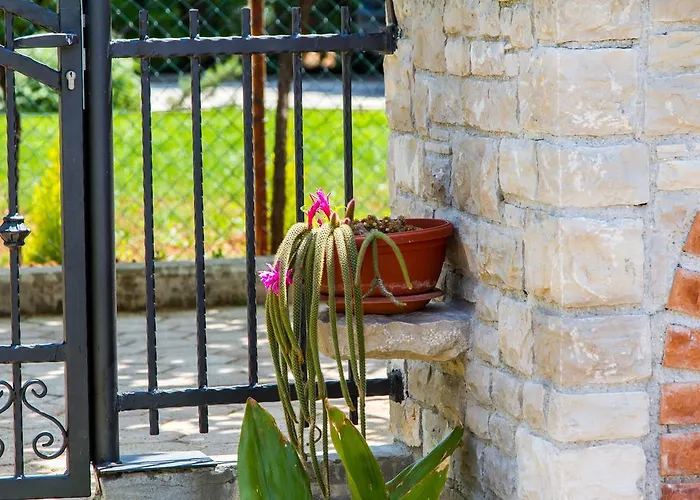 Vista Appartement