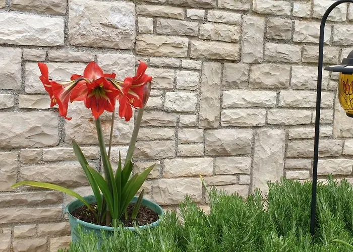 Apartman Villa Vista