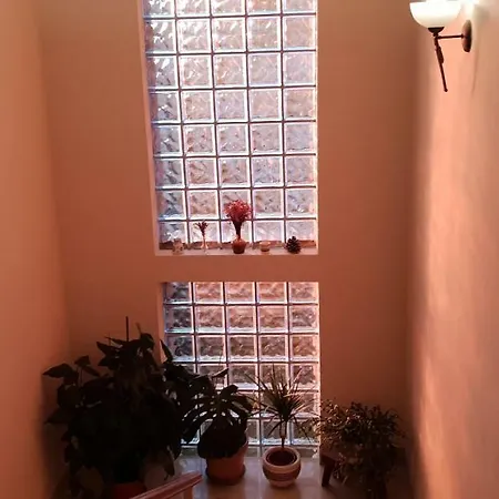 Vista * 普拉